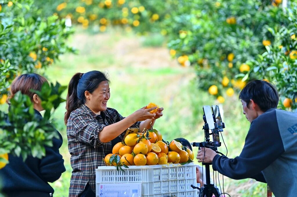 20251127154124_45602 必发集团(股份)有限公司-官方网站